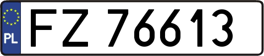 FZ76613