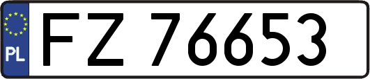 FZ76653