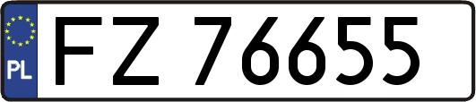 FZ76655