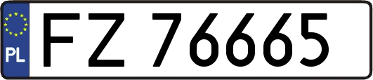 FZ76665