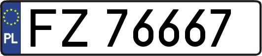FZ76667