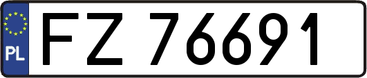 FZ76691
