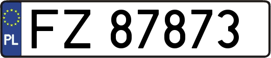 FZ87873