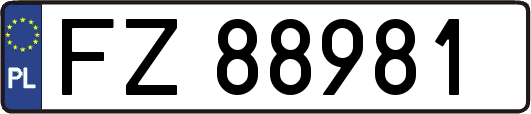 FZ88981