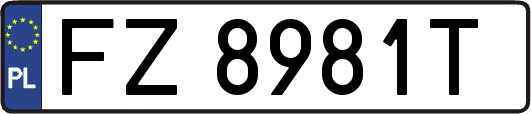 FZ8981T