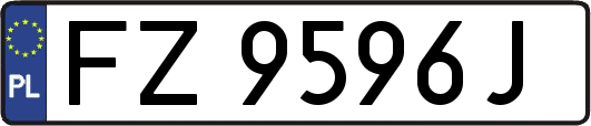 FZ9596J