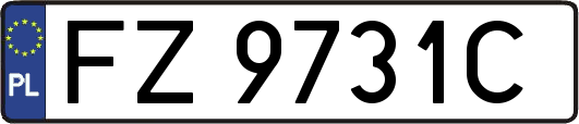FZ9731C