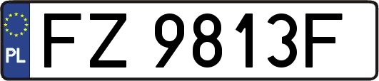 FZ9813F