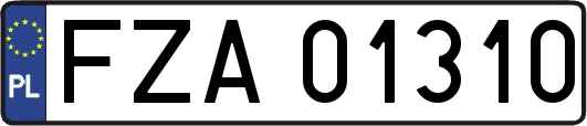FZA01310