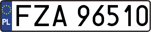 FZA96510