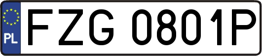 FZG0801P