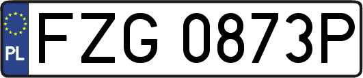 FZG0873P