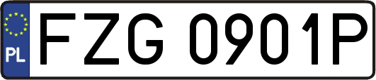 FZG0901P