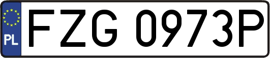 FZG0973P