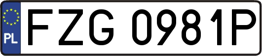 FZG0981P