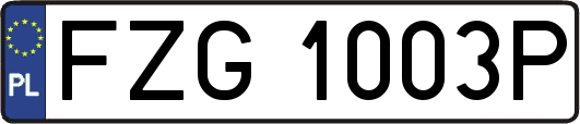 FZG1003P
