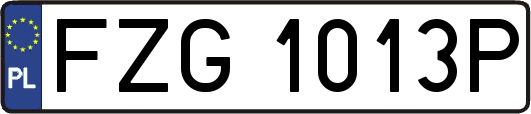 FZG1013P
