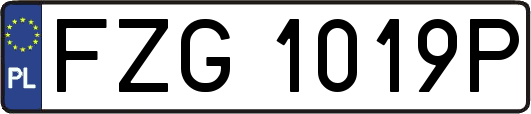 FZG1019P