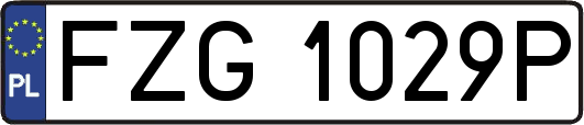 FZG1029P