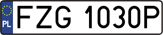 FZG1030P