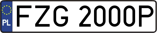 FZG2000P