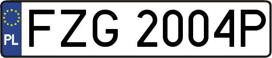 FZG2004P