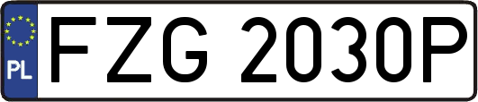 FZG2030P