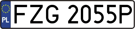 FZG2055P