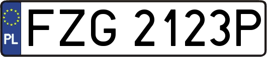 FZG2123P