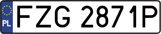 FZG2871P