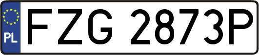 FZG2873P