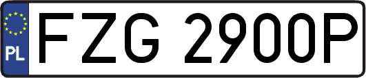 FZG2900P