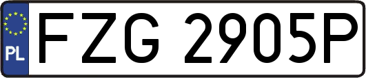FZG2905P