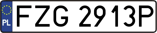 FZG2913P