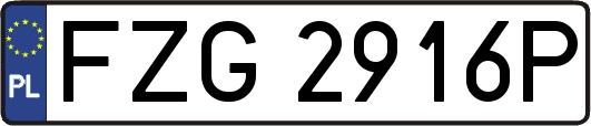 FZG2916P