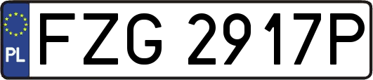 FZG2917P