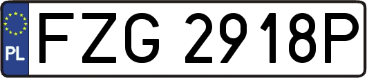 FZG2918P