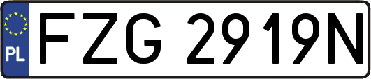 FZG2919N