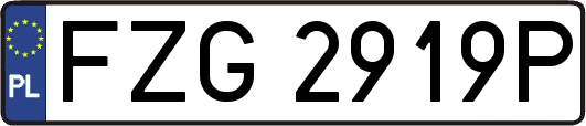 FZG2919P