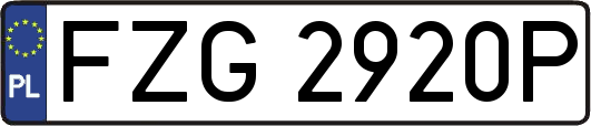 FZG2920P