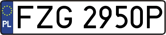 FZG2950P