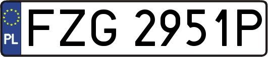 FZG2951P