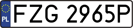 FZG2965P