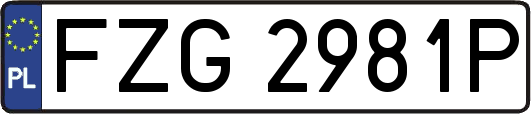 FZG2981P