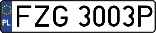 FZG3003P