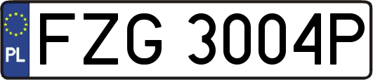 FZG3004P