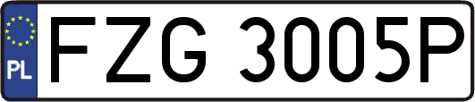 FZG3005P