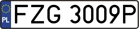 FZG3009P