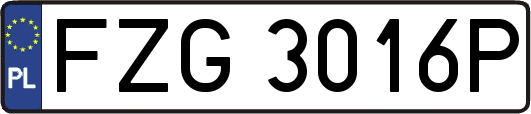FZG3016P
