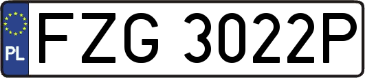FZG3022P